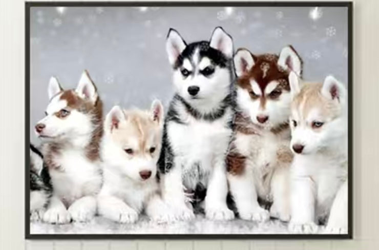 Diamond Painting Kits