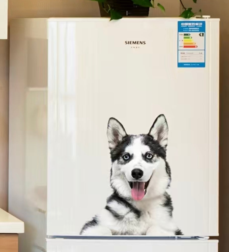 Husky wall decal