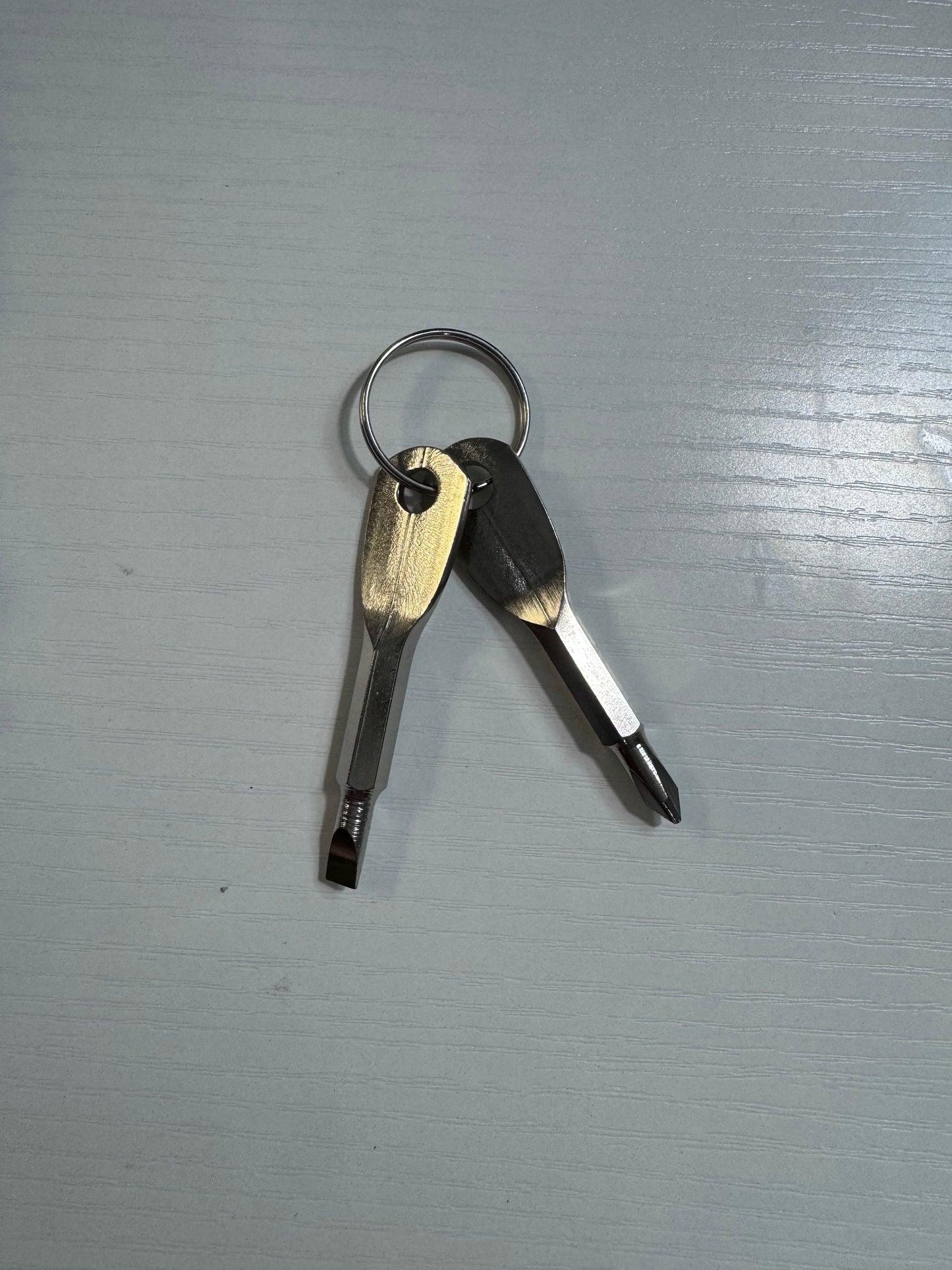 Phillips/Standard portable screwdriver keychain
