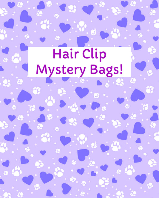 Hair Clip Mystery Bags!